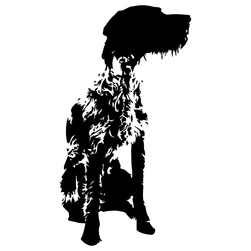 German Wirehaired Pointer