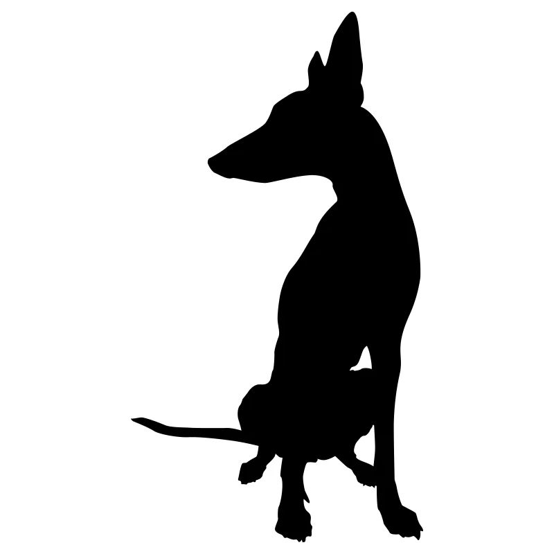 podenco boss