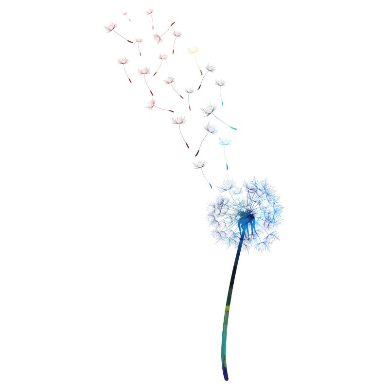 Dandelion, Dandelion, Spring, Spring