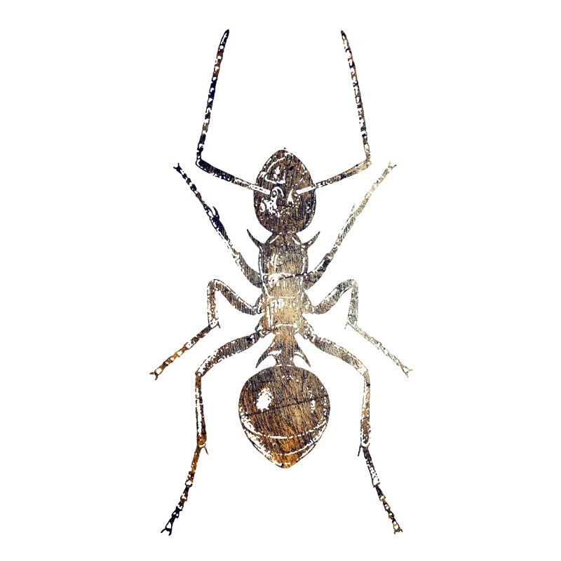 Ant