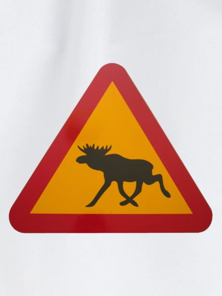 Warnschild Elch