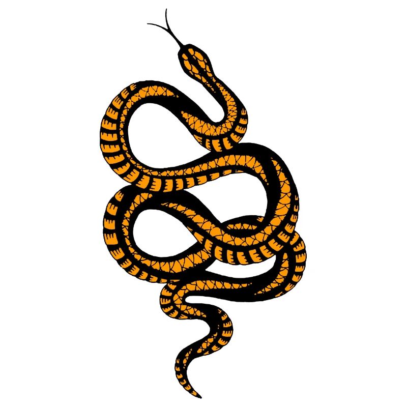 Snaker