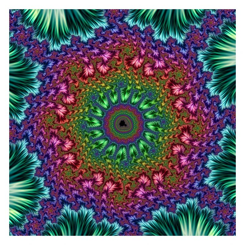 TO EXERCISE THE MIND