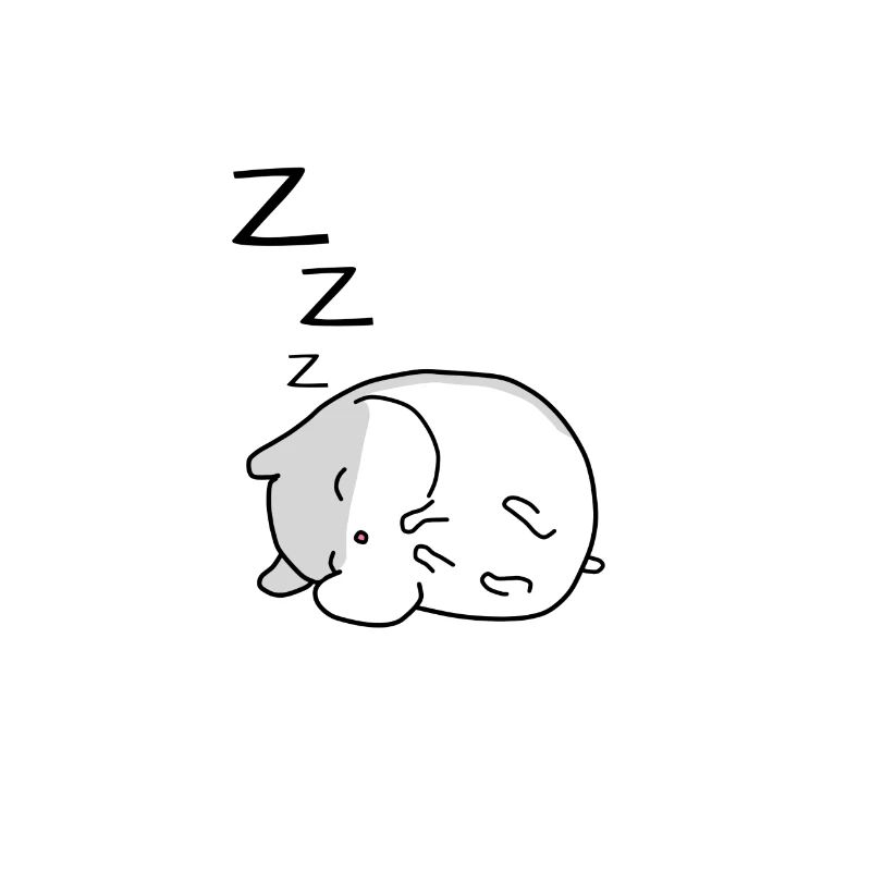 Sleeping hamster cute
