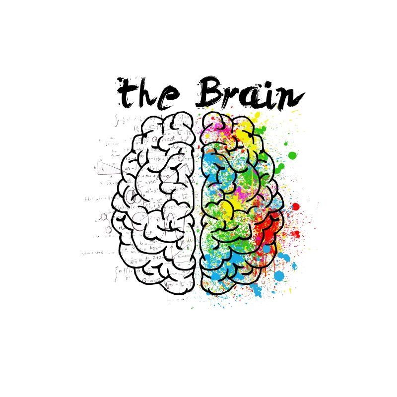 The Brain