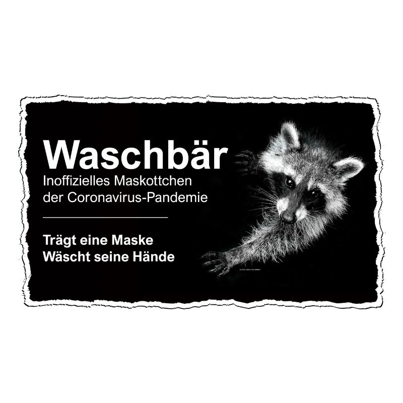 Maskottchen - Waschbär