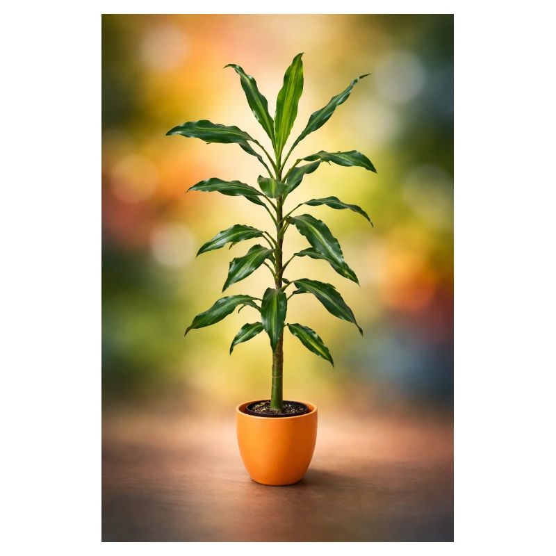 Green potted tree elegance
