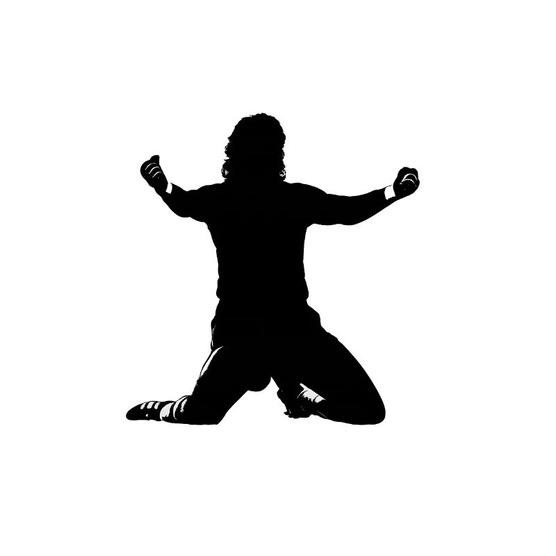 Shadow silhouette Toni cheering