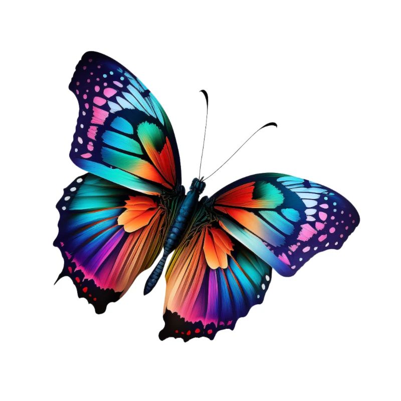 Conception colorée de papillon