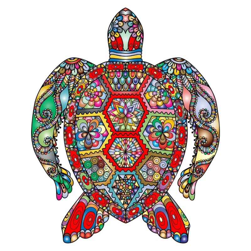 Turtle Schildkröte