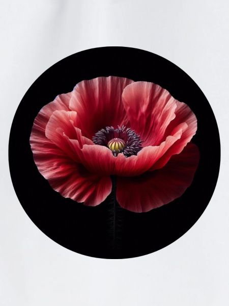 Mohnblume fotorealistisch