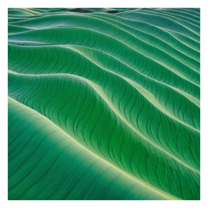 Green Waves Valley