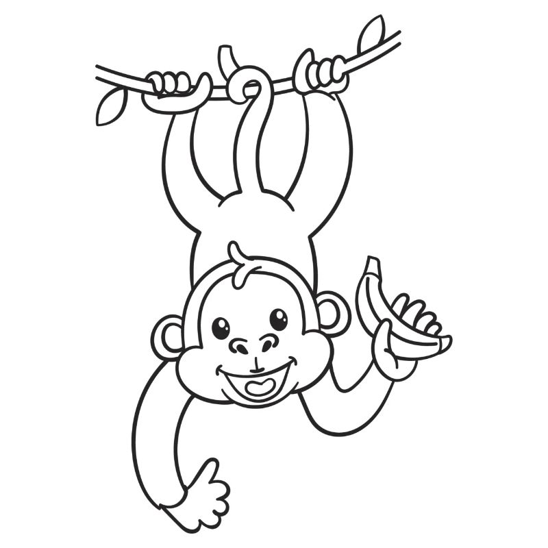 Monkey, monkey, banana, gift