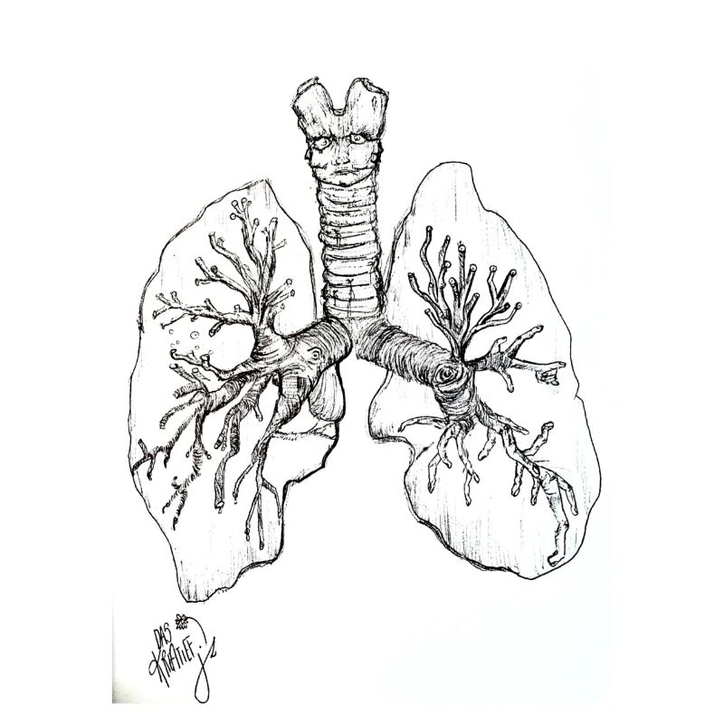 FunWithLungs
