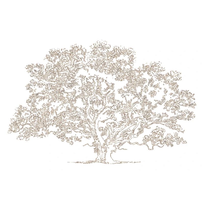 A big tree