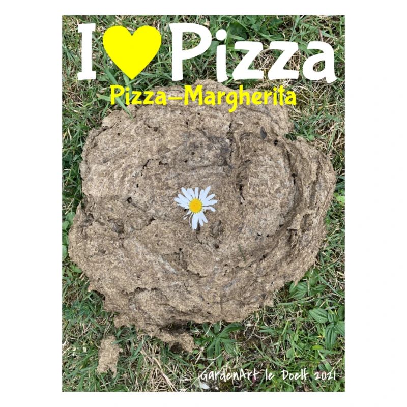 Pizza Margherita oder Alpenpizza mit Kuhscheisse