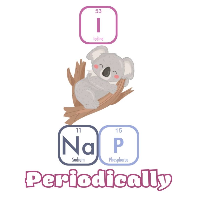 Nickerchen Koala