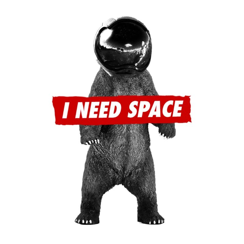 Space bear