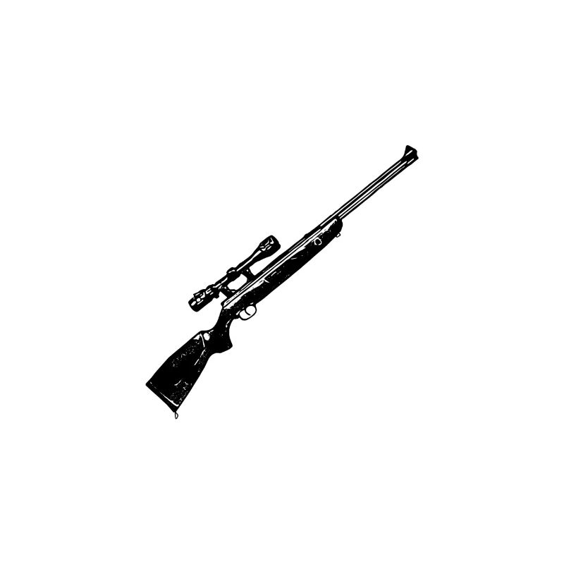 Air rifle