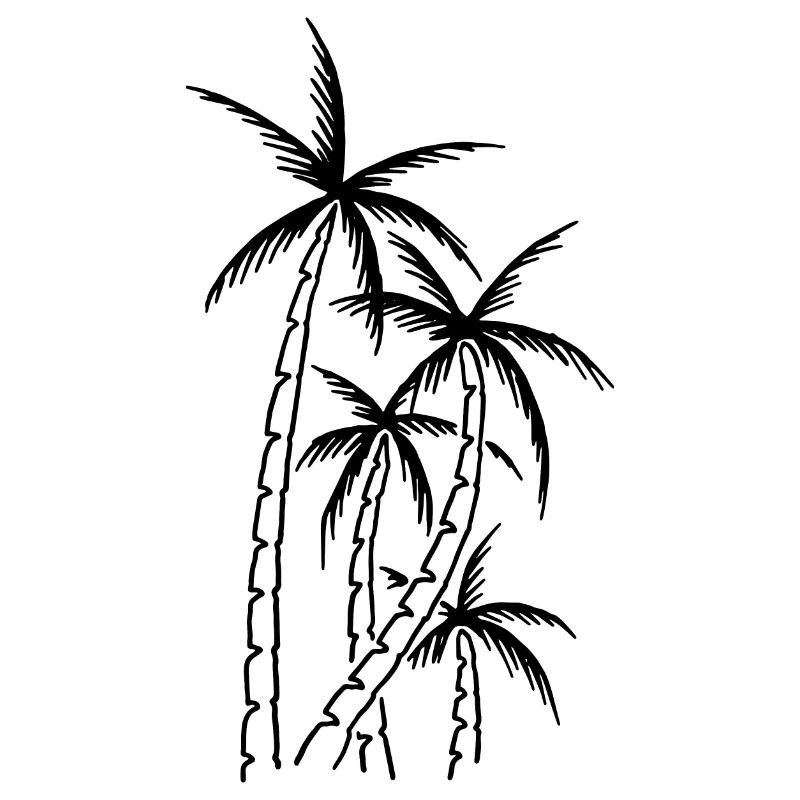 Palm trees