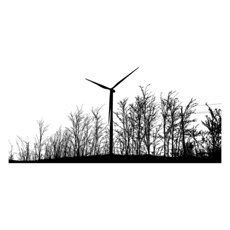 Fridays for future