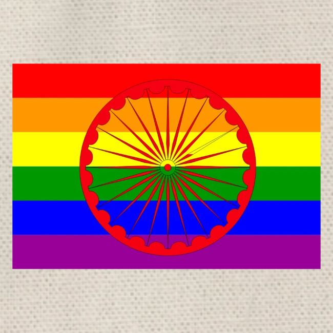 Queer Roma Flag