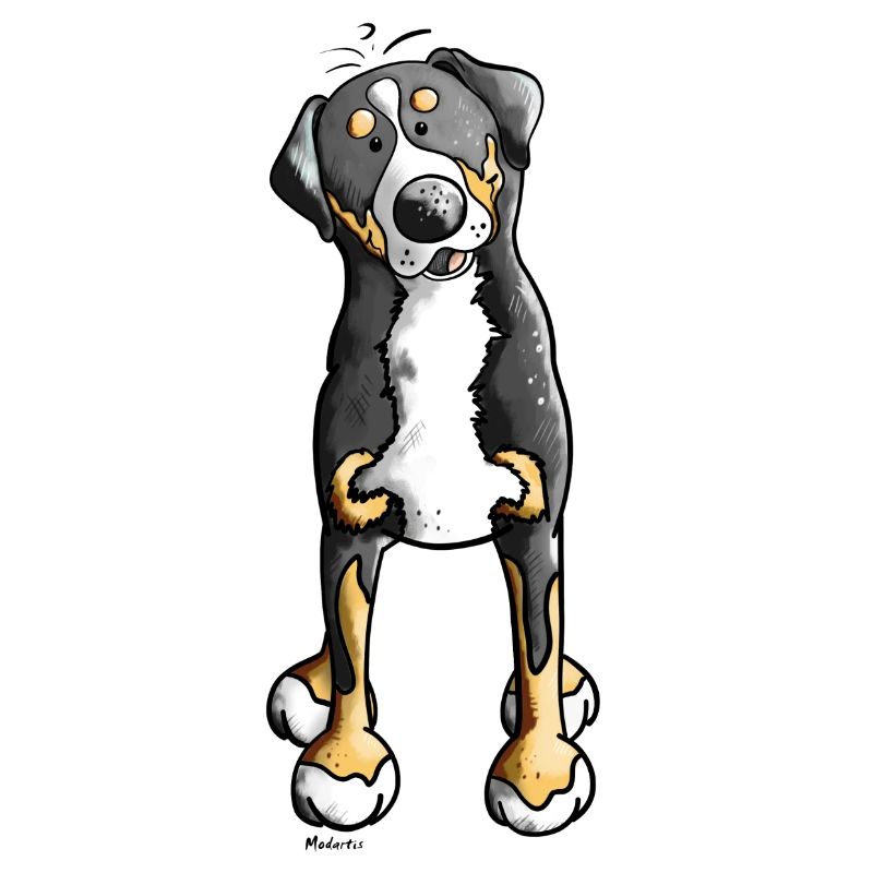 Witziger Schweizer Sennenhund