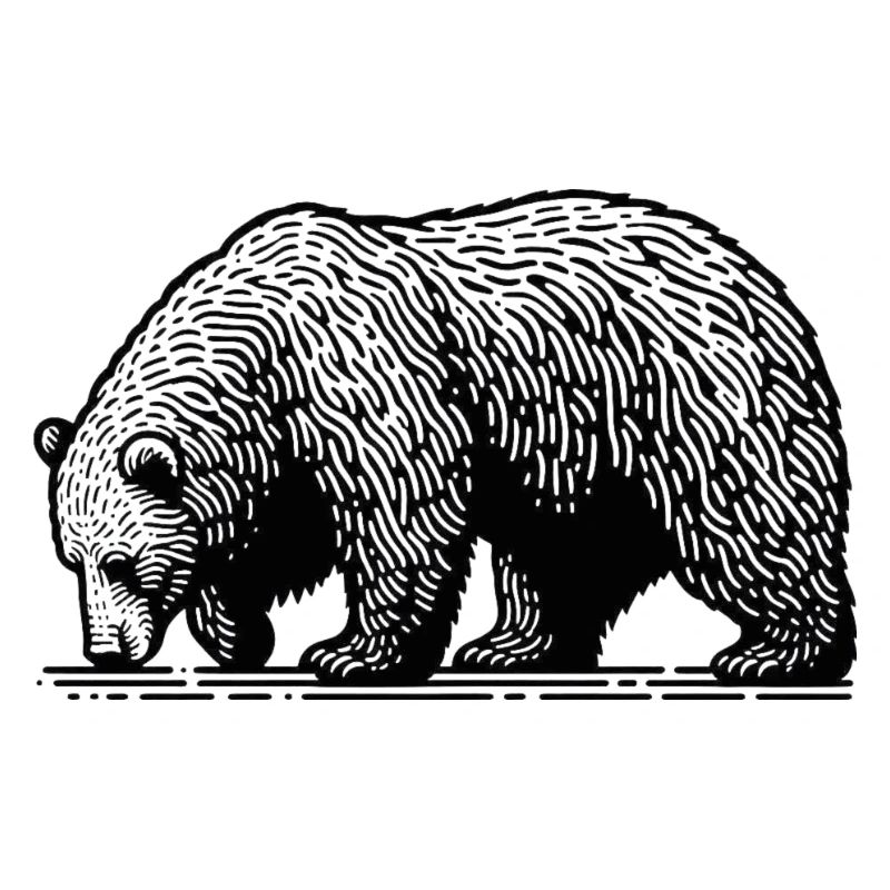 Bär