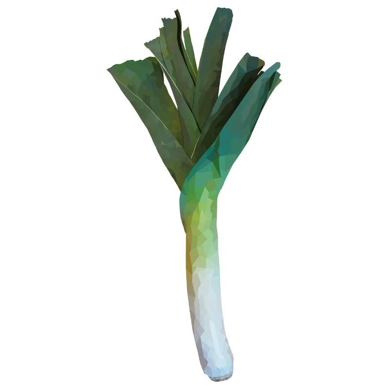 leek