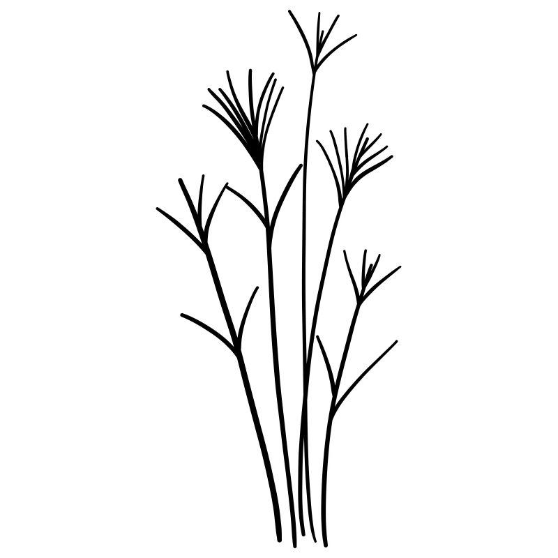 fleur