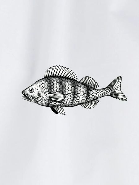 Barsch