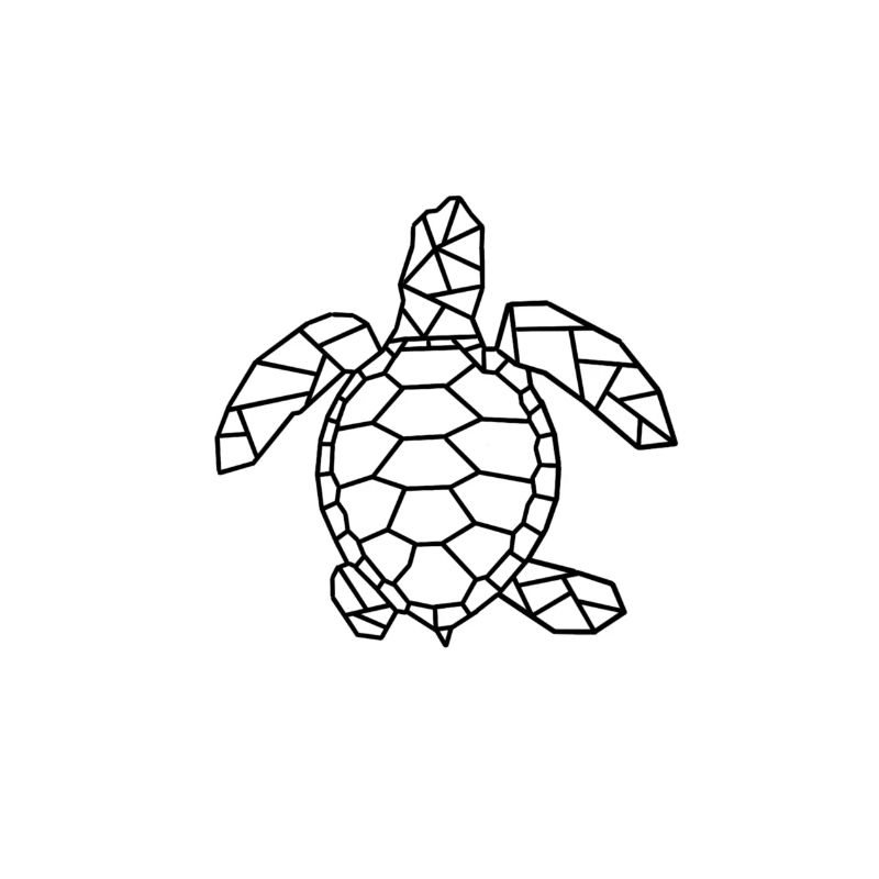 Schildkröte Geschenkidee