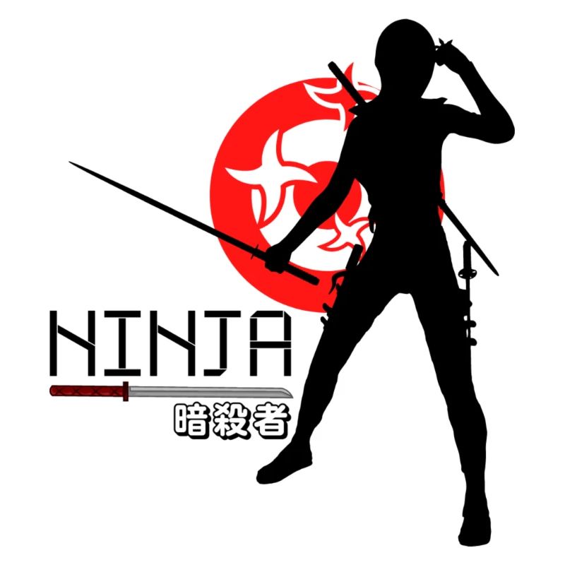 Ninja 2