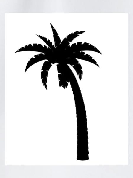 Palme