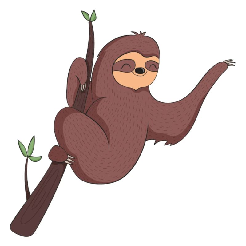 Procrastinating Sloth | Sleeping sloth