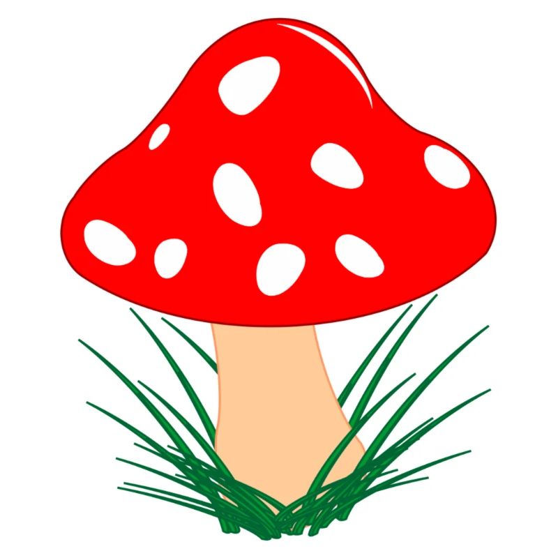 Champignon rouge avec des points blancs Automne