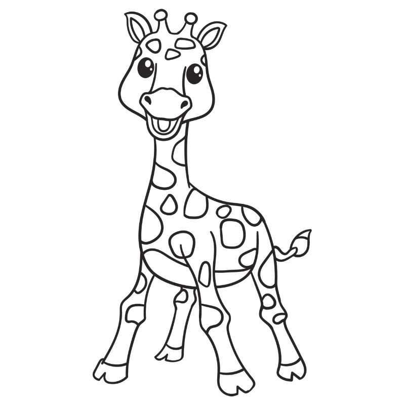 Giraffe, Giraffen, Geschenk, Geschenkidee
