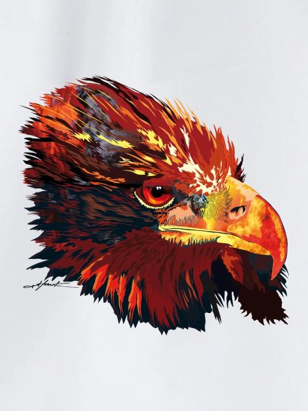Adler arthawk