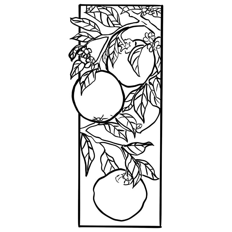 Oranges