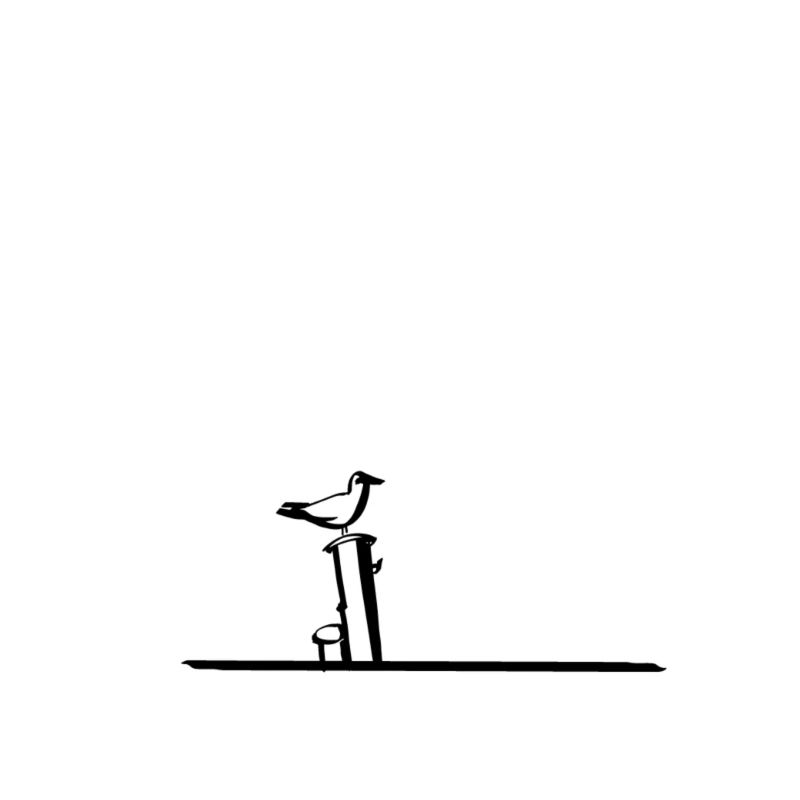 Möwe klein