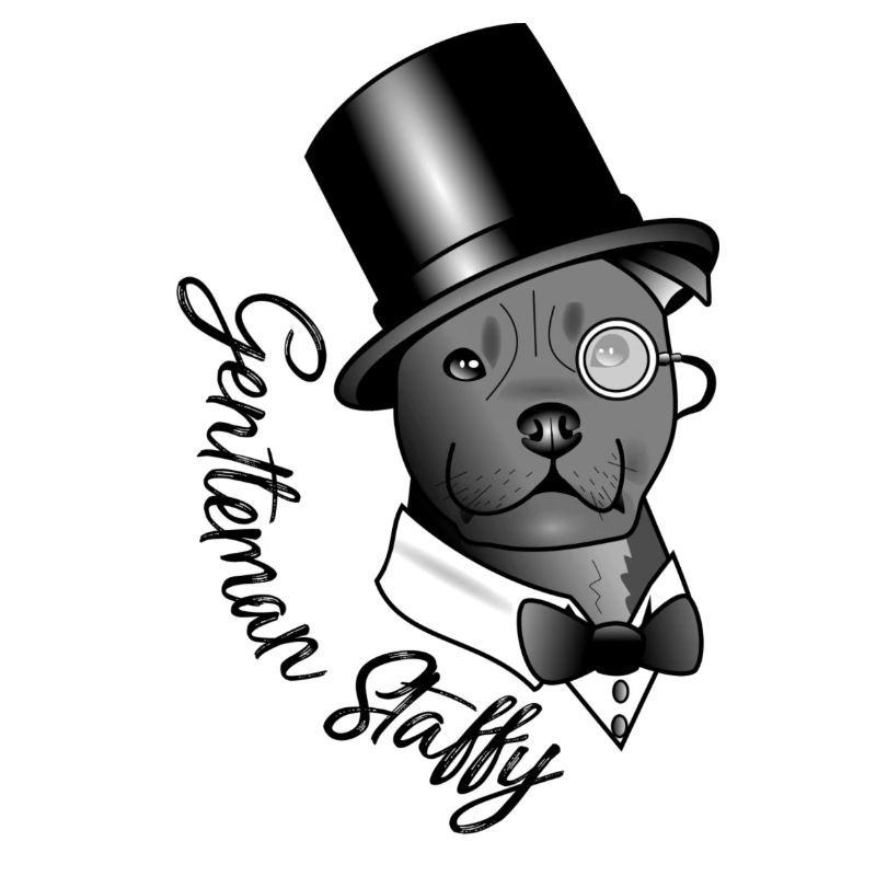 Herr Staffy