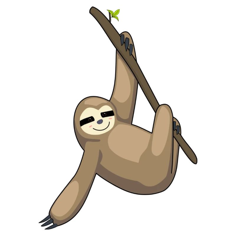 Friendly sloth