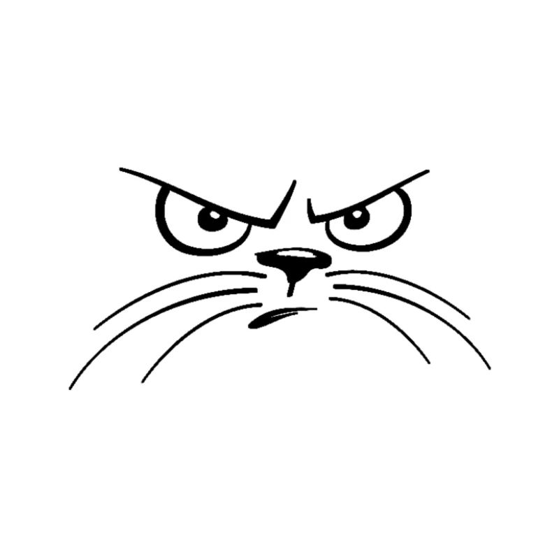 Grim cat