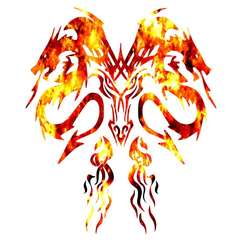Dragons and Fire