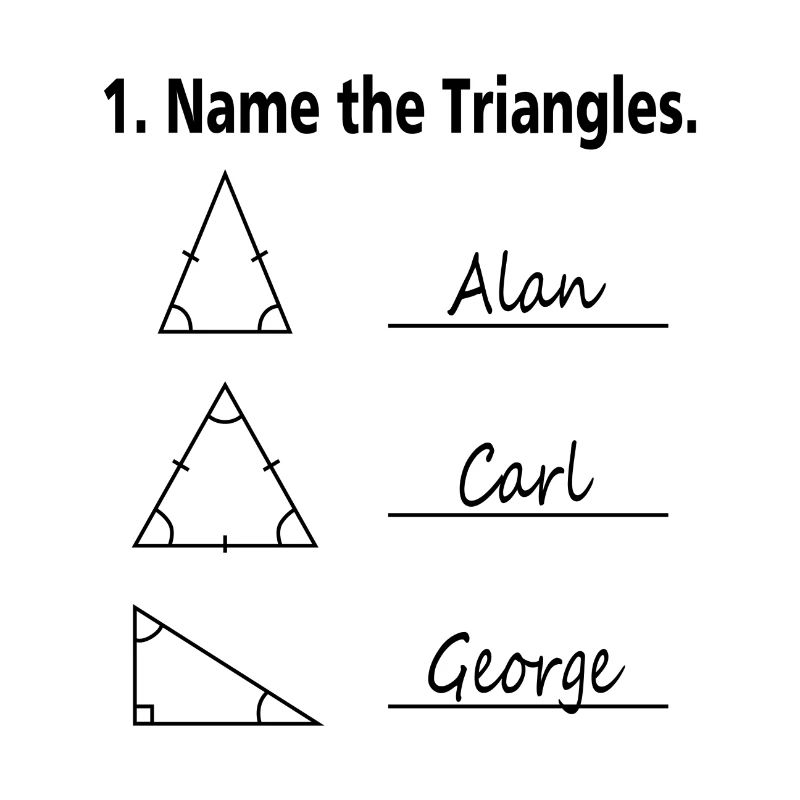 Nom des Triangles Mathe Nerd École cadeau