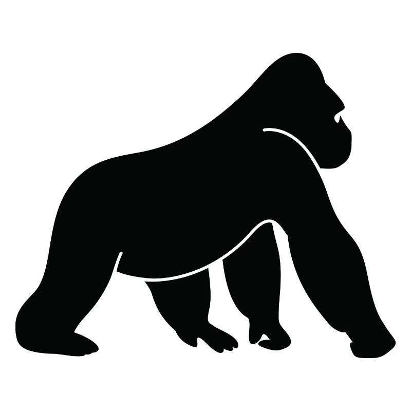 A wild gorilla