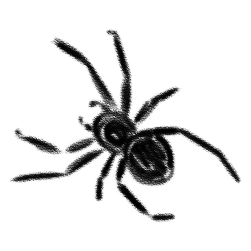Spinne