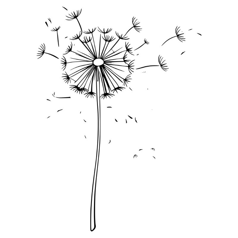 Playful dandelion as vector illustration