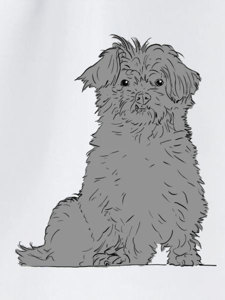 Abenteuerlustiger Terrier