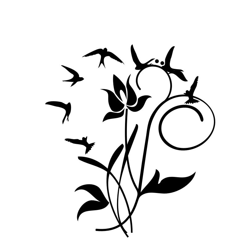 Orchidee / orchid (2c)